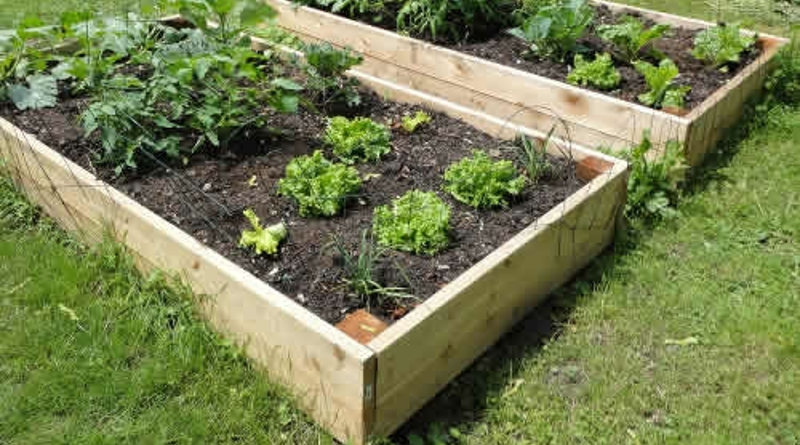 How to Build a Wooden Raised Bed | DIY Projects, Guides and Tips